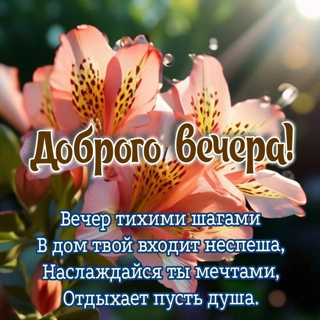   ,    . - 15  2025  20:59