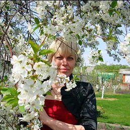 , 48, 