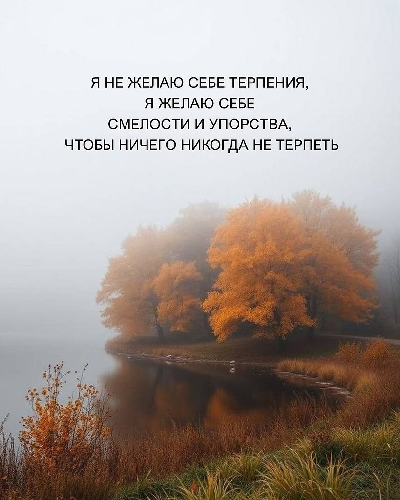 Just Business - 24 октября 2025 в 13:41 - 4