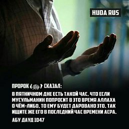 ���� ������, �������, 45 ��� - ��������� 3 ������ 2026