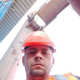 , 33, 