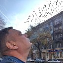 ���� �����, �������, 56 ��� - ��������� 29 ������ 2026