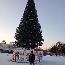 �����, ���������, 37 ���