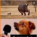 ���� �����, ����, 40 ��� - ��������� 25 ������� 2024