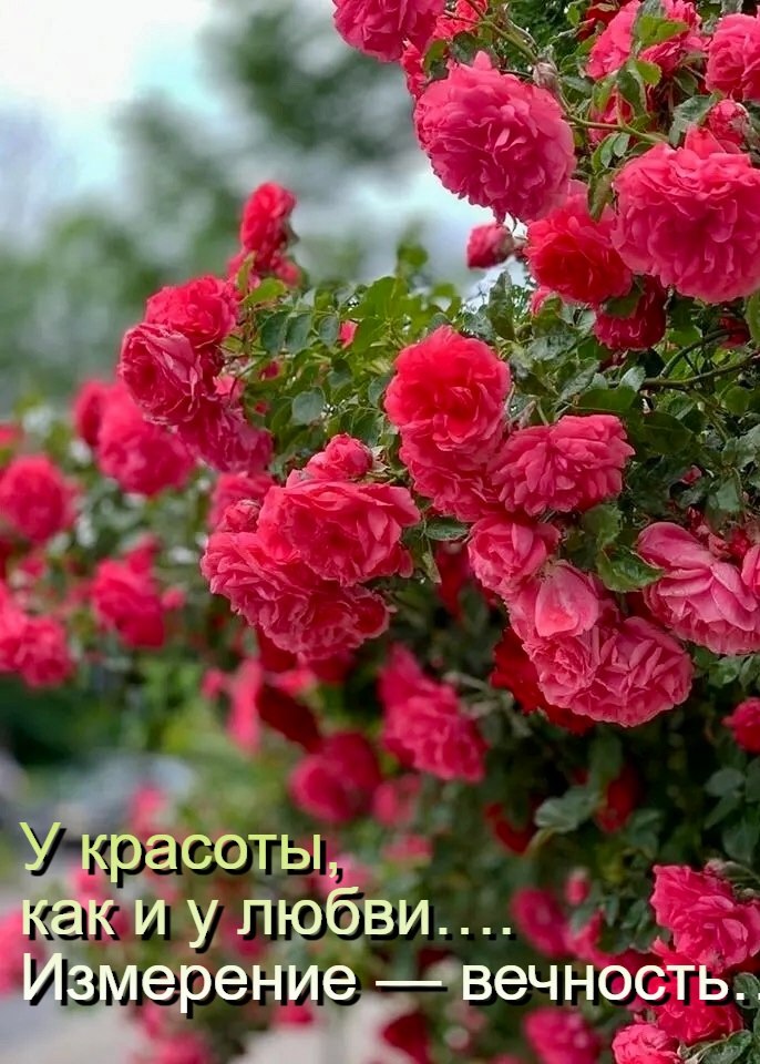   - 10  2025  06:32