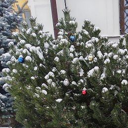 ������, ������, 48 ���