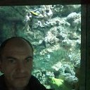 Oleg Oleg, , 39  -  20  2025    