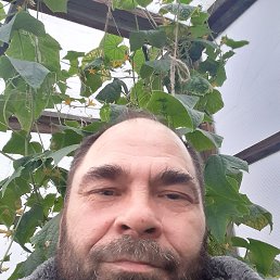 , 49, 
