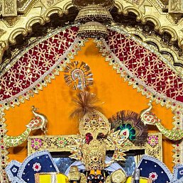 ���� Rohit Gangwal, �����-��������, 22 ���� - ��������� 8 ��� 2026
