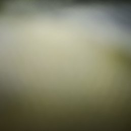 ���� ����������, �����-���������, 62 ���� - ��������� 22 ��� 2025