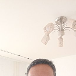 , 49, 