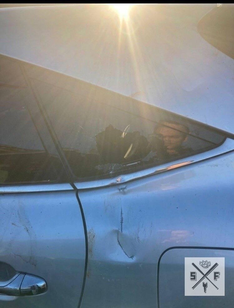 В результате нападения бурого медведя погибла 85-летняя женщина. Инцидент произошёл вблизи парковки, ...