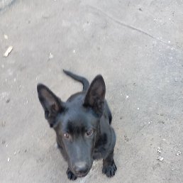 ������� ���������, ������, 65 ���