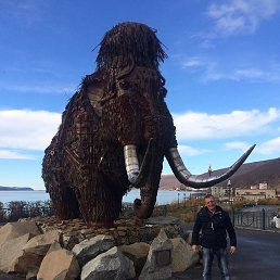 ���������, �����������, 43 ����