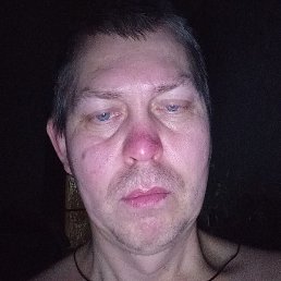 �����, �������, 41 ���