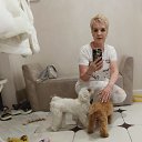 ���� ��������, ���������, 62 ���� - ��������� 13 ������ 2024