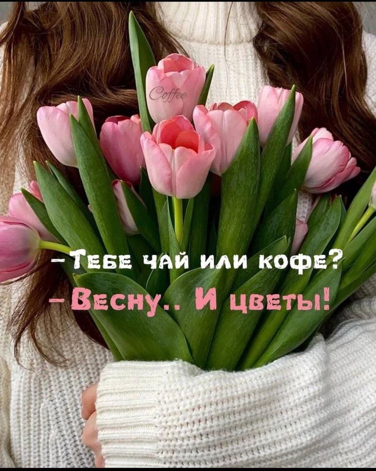 ���� - 27 ������� 2026 � 19:56