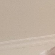 ��������, 48 ���, ���������