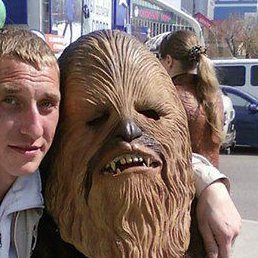 �������, ��������, 41 ���