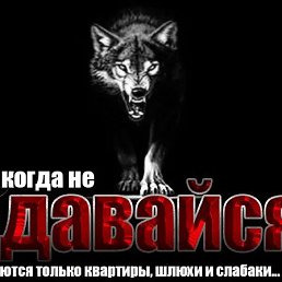 ���� ����, ���������, 39 ��� - ��������� 14 ������� 2026