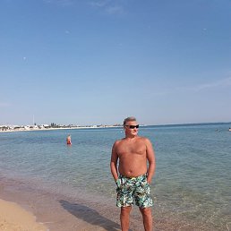 Petrovich P, ������, 52 ����