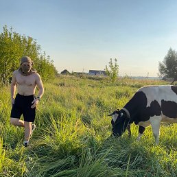 vexel, 26, -