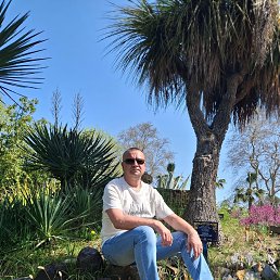 ��������, 50 ���, ����