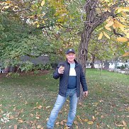 ����������������, 52 ����, ������