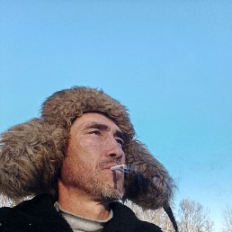 ����, ������, 43 ����