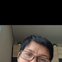 �������, ��������, 56 ���