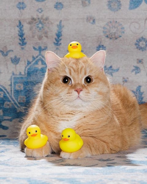 ����� � ��� ����� ������ - 4