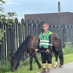 ����, ������, 43 ����