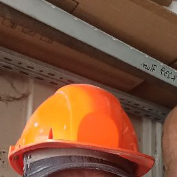 , 58, 