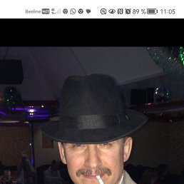 ��������, �����������, 56 ���