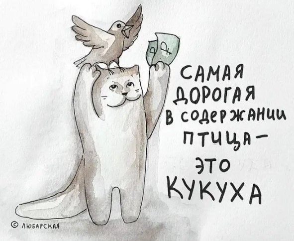  - 26  2025  07:16 - 3