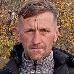 �������, ������, 44 ����