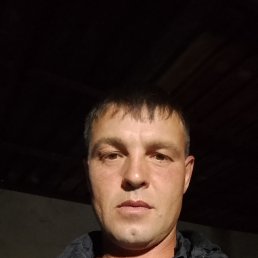 , 41, 