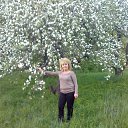   ., , 71  -  24  2025   !0   .