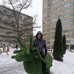 ������, 34 ����, ������