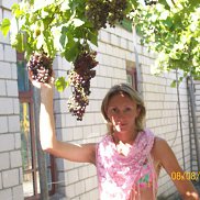 , 44 , 