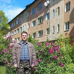 ������, �������, 51 ���