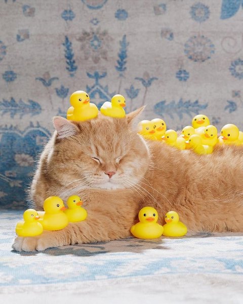 ����� � ��� ����� ������ - 6