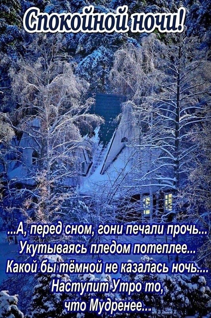   ,    . - 1  2024  21:50 - 5