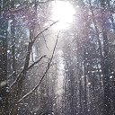 ���� �������, �����, 56 ��� - ��������� 23 ����� 2025 � ������ ���� ����������