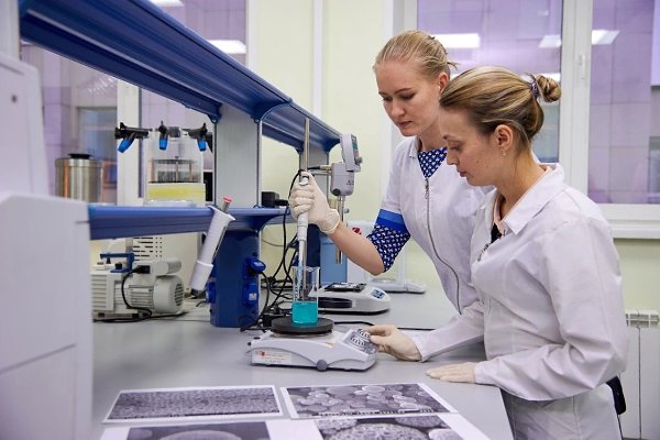 До 200 млн рублей ежегодно смогут получать учёные в Красноярском крае на развитие своих ...