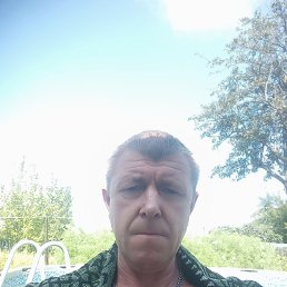 , 43, 