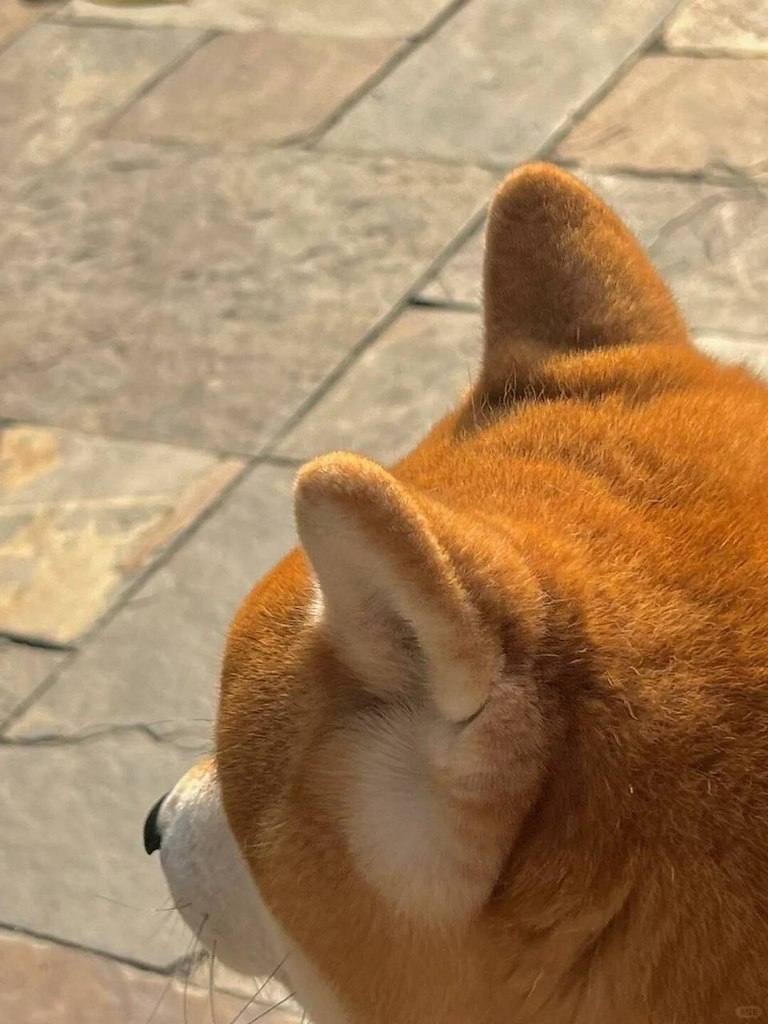 ��� ���� :3