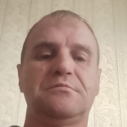 ������, ���������, 46 ���