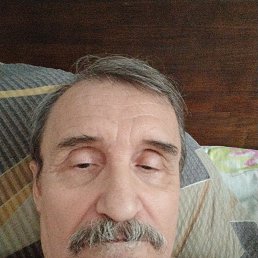 , 66, 