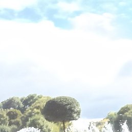 , , 50 